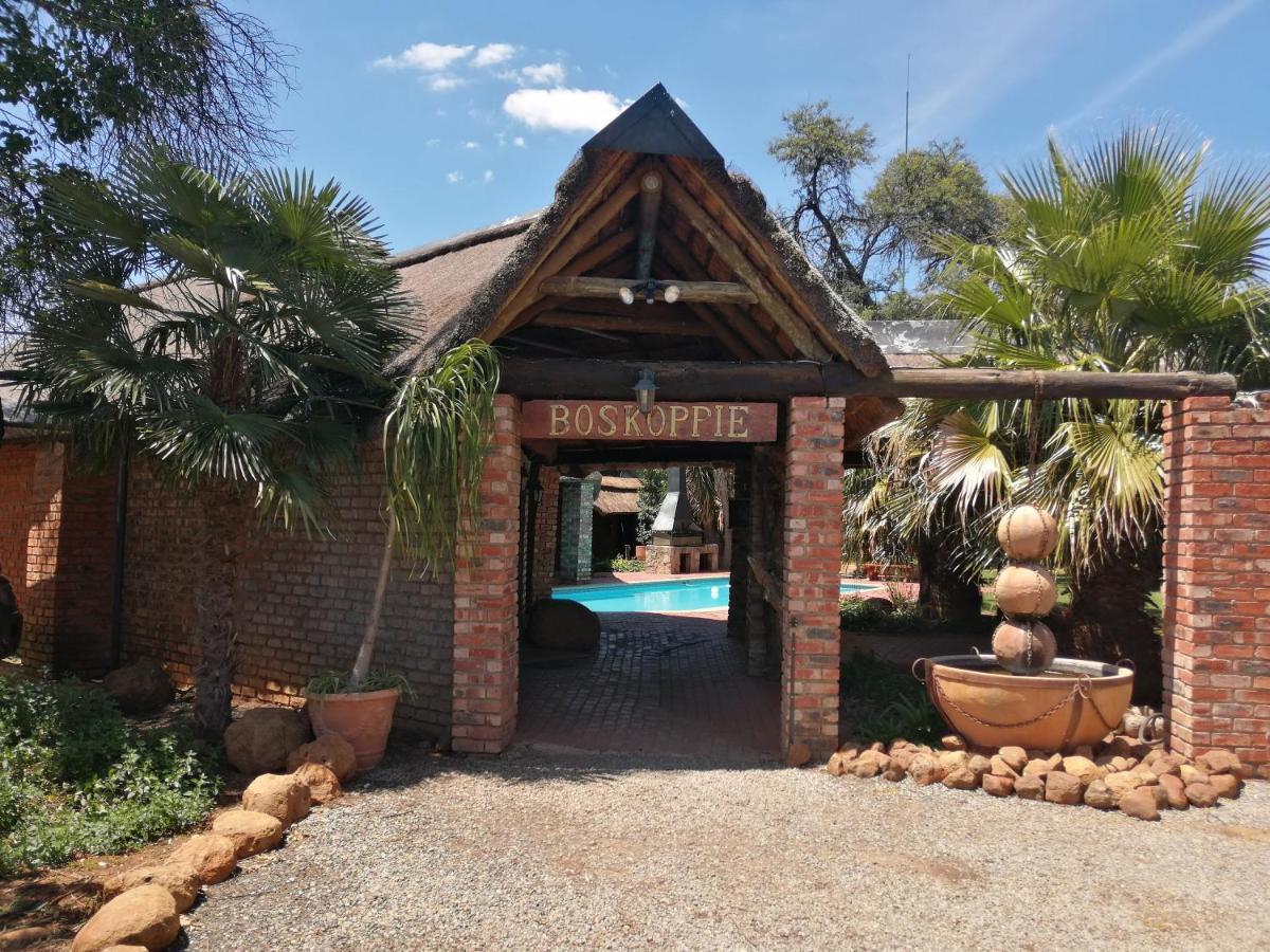Boskoppie Lion&Tiger Reserve Kroonstad Eksteriør bilde