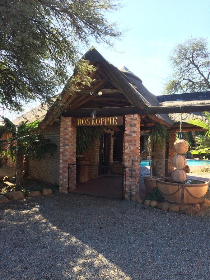 Boskoppie Lion&Tiger Reserve Kroonstad Eksteriør bilde